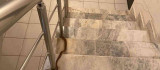 Elazığ'da apartmana giren yılan paniğe neden oldu