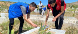 Elazığ'da gönüllü gençlerden kimsesizler mezarlığında temizlik