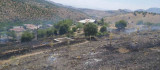Elazığ'da ot yangını